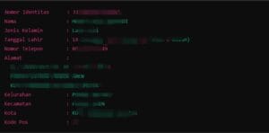 OSINT in actions [ilustrasi]